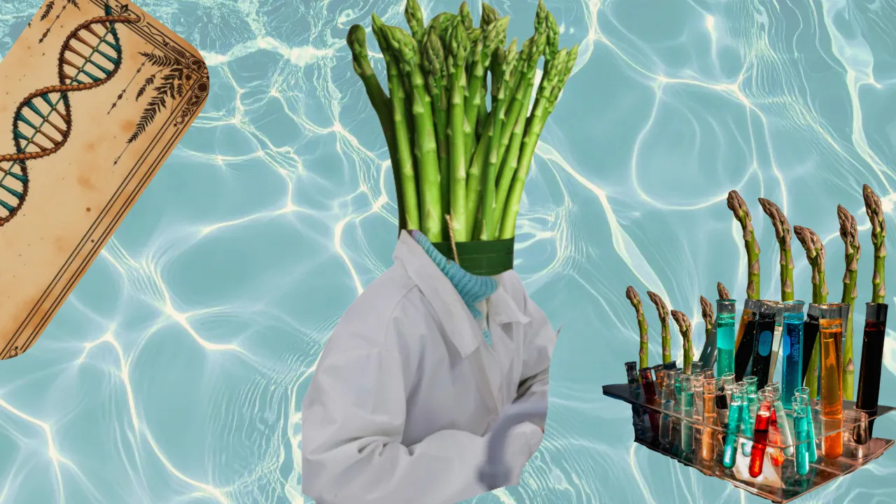 Evaluating Training Programs: A Thought Asparagus
