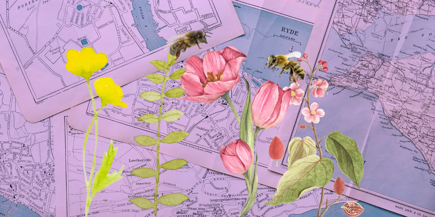 Unlocking the Future of Work — With Career Maps