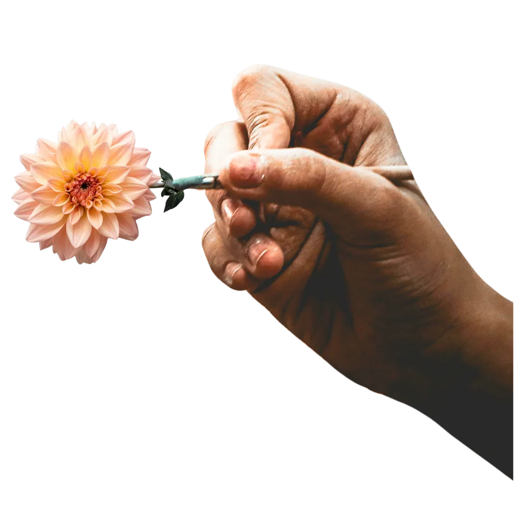 We co-design the solution